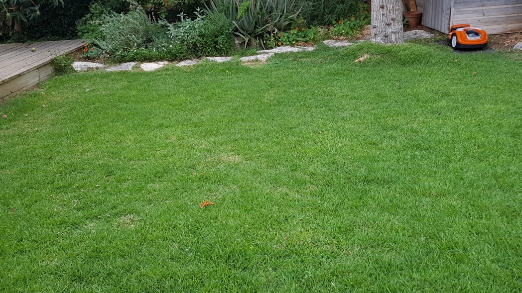 כיסוח Mulching בארץ